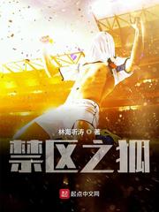 禁区之狐txt下载奇书网